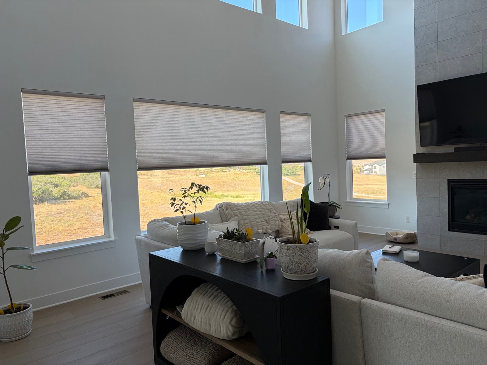 Duette® honeycomb shades filtering afternoon light beside the fireplace