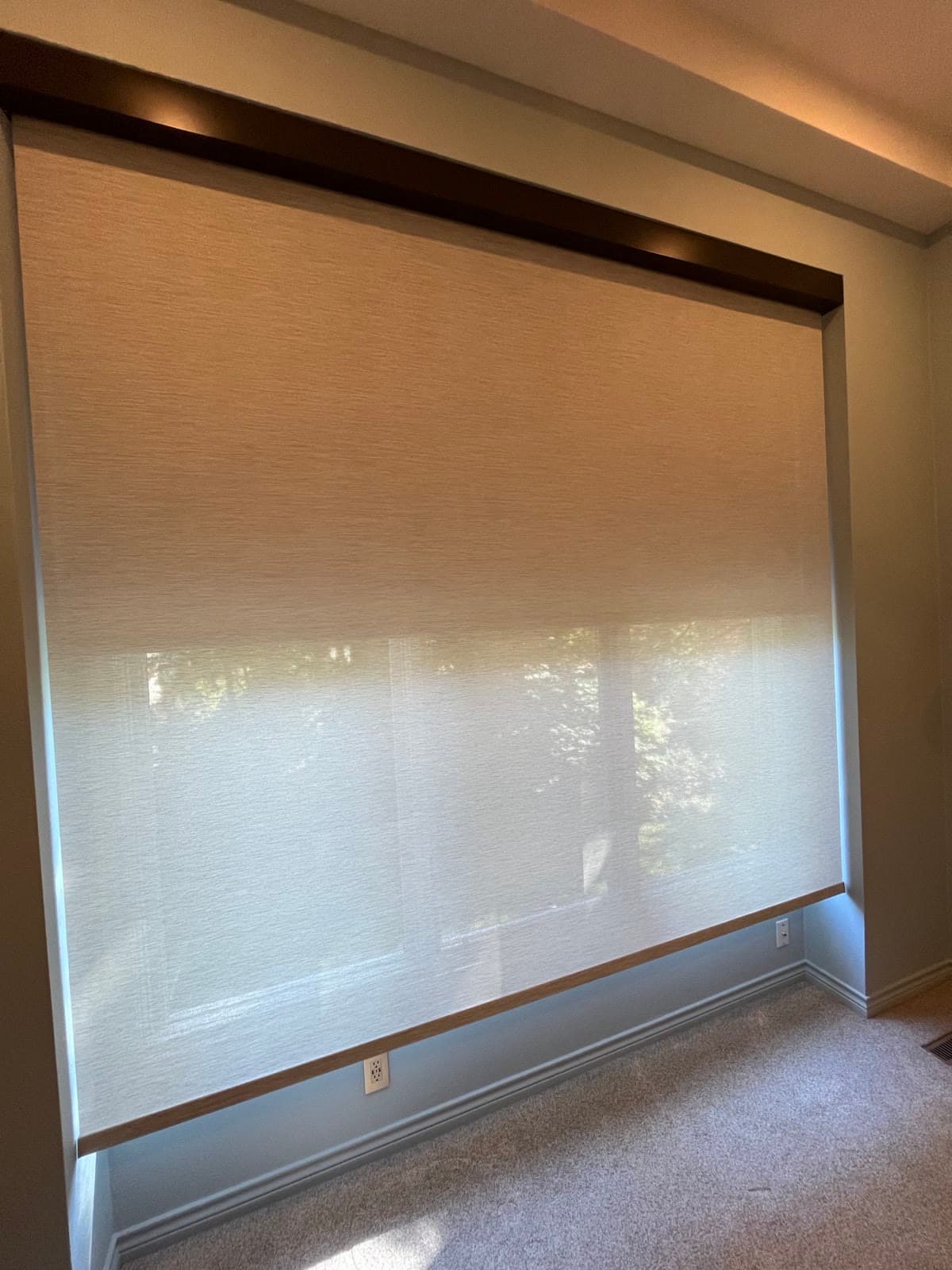 A wide light-filtering roller shade lowered over a bank of windows