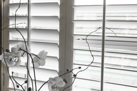 The White Plantation Shutters style window with flowers at Denver CO