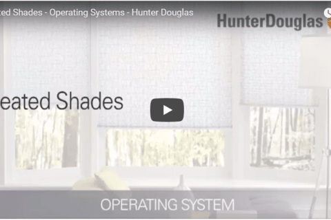 Hunter Douglas Pleated Shades