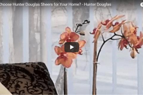 Why Choose Hunter Douglas Sheers