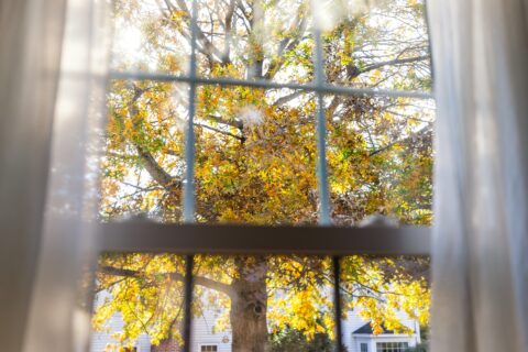 Should You Replace Your Window Coverings This Fall